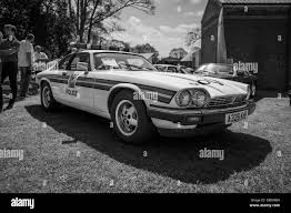 Image result for Black 1983 Jaguar