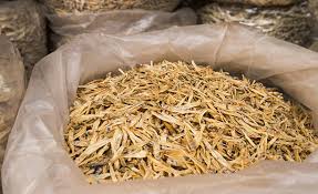 Attēlu rezultāti vaicājumam “Charales”