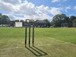 Image result for Walton-On-Thames Cricket Club