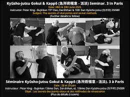 Image result for Peter Kings Dojo