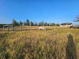 Image result for Greenways Riding Stable Lower Eashing