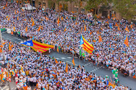 Image result for catalans universals