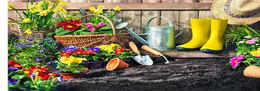 Image result for Little Weighton Bowls Club