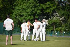 Image result for Capel Cricket Club