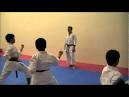 sensei luis maria sanz 2.wmv