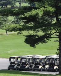 Image result for Blue Mountain Golf Centre