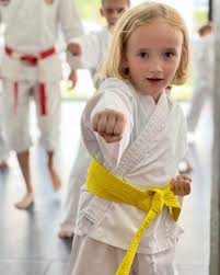 Image result for Bushido Academy Of Martial Arts (Bama)