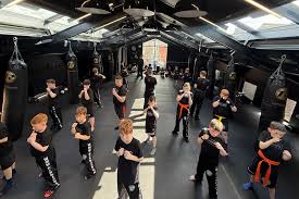 Image result for Kicking Dragon Kung Fu School, Belfast