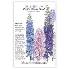 Attēlu rezultāti vaicājumam “Delphinium elatum  fruit”