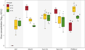 Attēlu rezultāti vaicājumam “Enteridium variabile macro”
