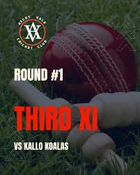 Image result for Vale Cricket Club