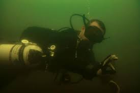 Image result for Mole Valley Sub Aqua Club