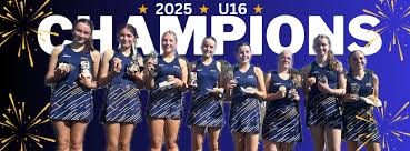 Image result for Molineux Netball Club