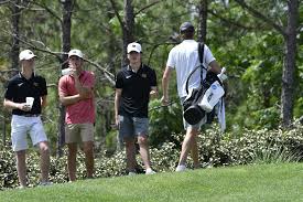 Image result for Currie Bowling Club