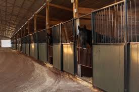 Image result for Kings Ranch Riding School/Club