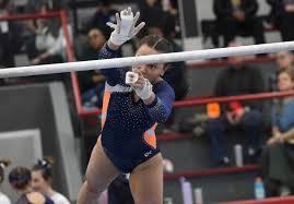 Image result for Wyre Forest School Of Gymnastics