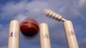 Image result for Aston Ingham Cricket Club