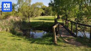 Image result for Morpeth Bowls Club