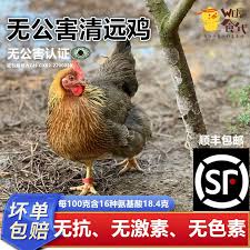 Image result for 公害SEARCH