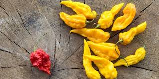 Afbeeldingsresultaat voor Szegedi 80 hot pepper