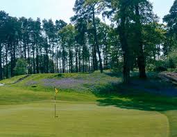 Image result for Brokenhurst Manor Golf Club