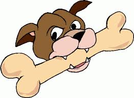 Yorkies love bones!