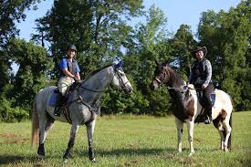 Image result for Cliff Hatch Stables