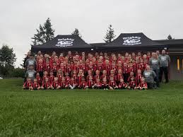 Image result for Dragons Junior Badminton Club