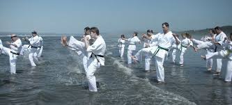 Image result for Seiki Juku Karate Club
