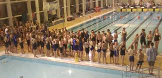Image result for Kingsbridge Kingfishers Swimming Club