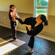Image result for Pyramid martial arts