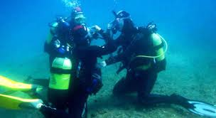 Image result for Abyss Dive Club