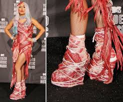 Image result for lady gaga meat dress