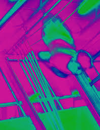 Image result for Concorde Gymnastics Club