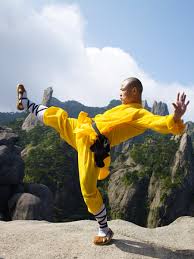 Image result for Bodyfit Martial Arts