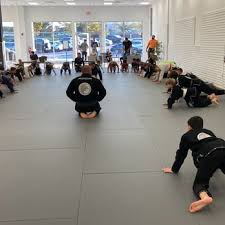Image result for Daniel Gracie Academy