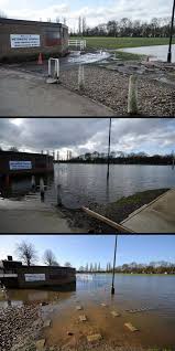 Image result for Weybridge Vandals Rugby Club