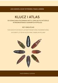 Attēlu rezultāti vaicājumam “Lacanobia contigua imago”