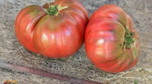 Afbeeldingsresultaat voor earl faux tomato