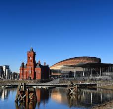 Image result for Cardiff Capitals