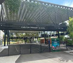 Image result for Carlton Netball Club
