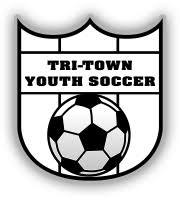 Image result for Haslemere Town Youth Football Club