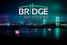 Image result for Bridge It
