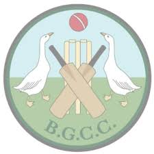 Image result for Broughton Cricket Club