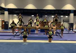 Image result for Harnham Gymnastics Club