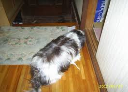 Image result for 201205.html#201205031