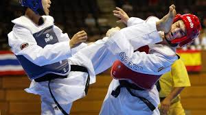Image result for Reading Wtf Taekwondo