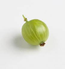 Attēlu rezultāti vaicājumam “Ribes uva-crispa fruit”