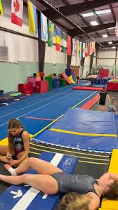 Image result for Fish trampoline and gymnastics club