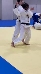 Image result for UTA Judo Club